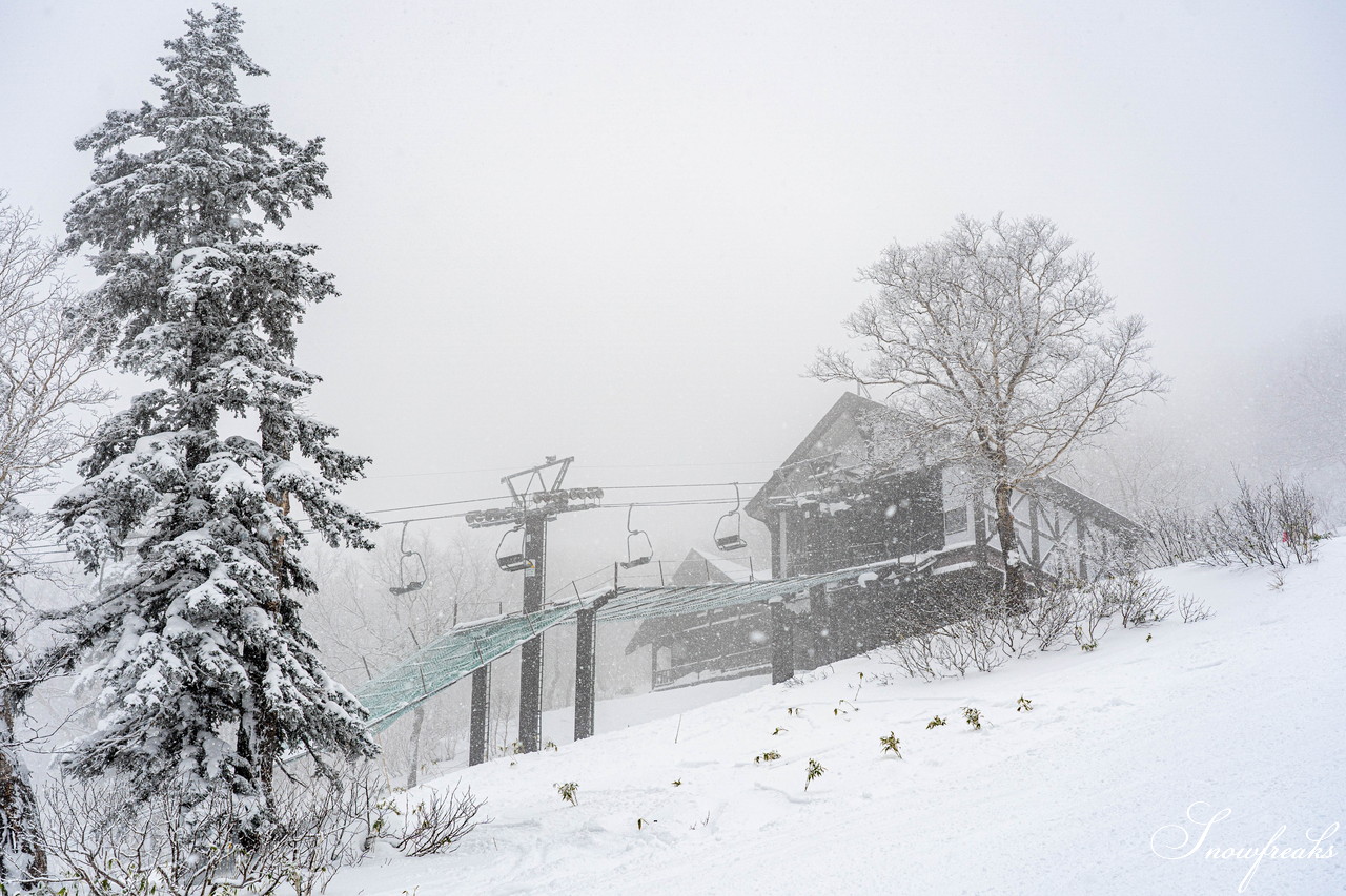 層雲峡黒岳ロープウェイスキー場　積雪170cm、雪質はパウダースノー。やはり、黒岳は別格のコンディション！